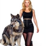 The Other Wolf Series Book 1 Vampire Suspense Thriller-0