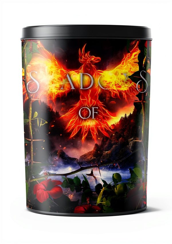 Shadow Realms Book 3 Psychic Suspense Kindle Edition English-0